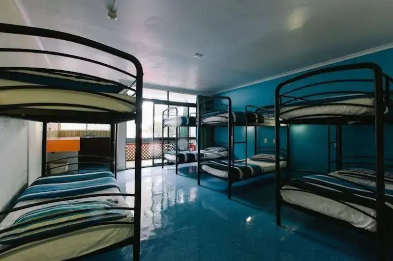 Beaches Backpackers Airlie Beach - Hostel - איירליי ביץ'
