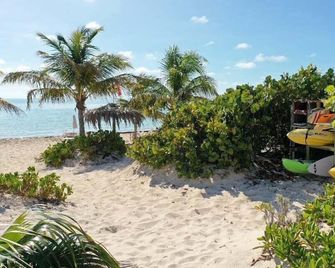 Esencia Cottage - The Bight Settlements - Playa