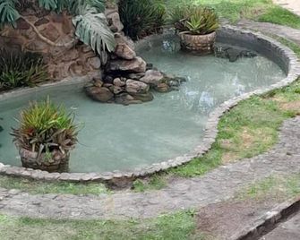 Espaço Plataforma - Nova Friburgo
