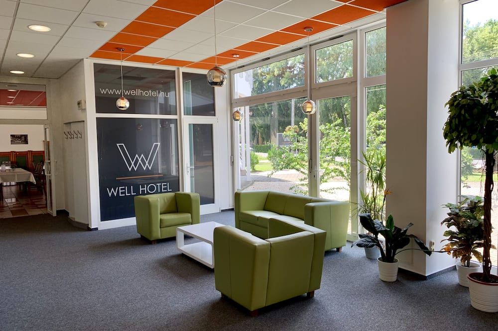 Well Hotel - Harkany - Ingresso