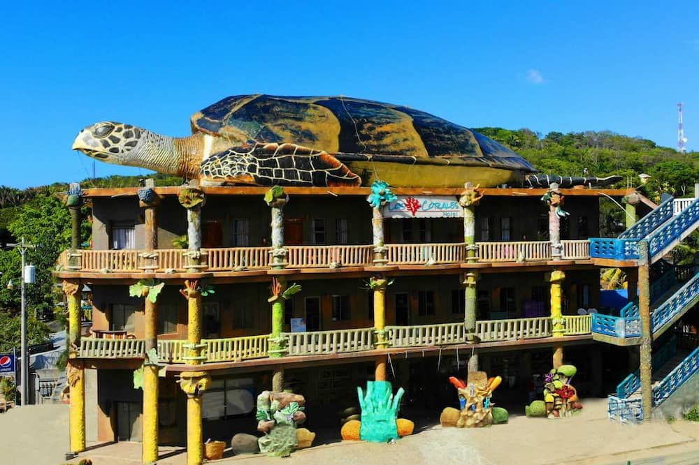 Hotel Los Corales - West End