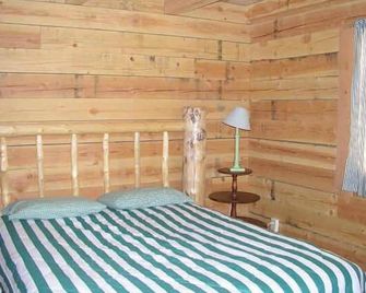 Silver Queen Vacation Rental - Lake City - Bedroom