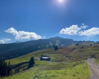 Hotel Almrausch - Reit im Winkl - Udsigt