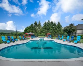 Private10000sf Retreat GuitarPool Hottub-Wine Area - Purcellville - Piscina