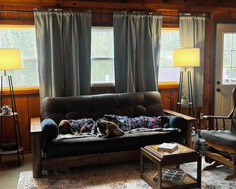 Cozy Small Cabin just a 2 minute walk to Lake Huron with a beautiful beach. - East Tawas - Living room