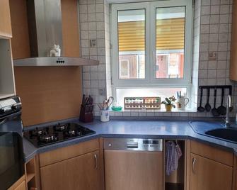 Paraison, Appartement Avec Terrasse Plein sud et Baignoire à jet - Bitche - Cuisine