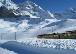 Chalet Bärgsicht 1-room apartment for 2 persons - Grindelwald - Property amenity