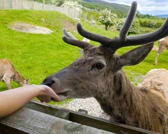 Moness Resort - Aberfeldy