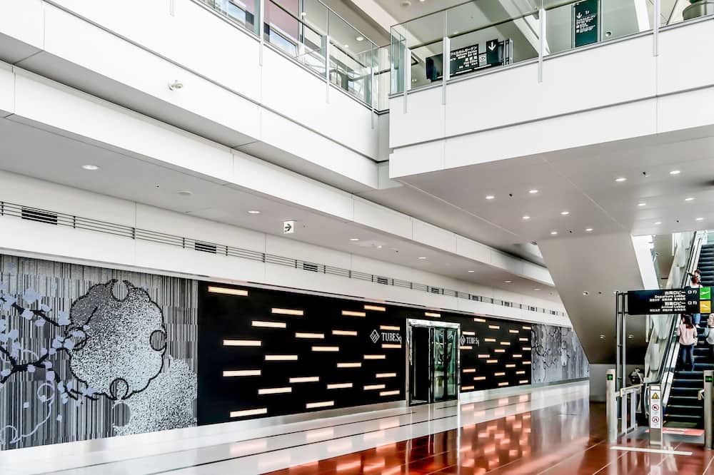 تيوبي سي كيو