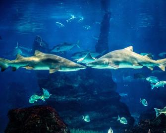 Bed & Art Barcelona - Barselona - Veranda