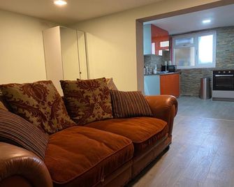 Treetops flat4 Hall Green B28 - Birmingham - Living room