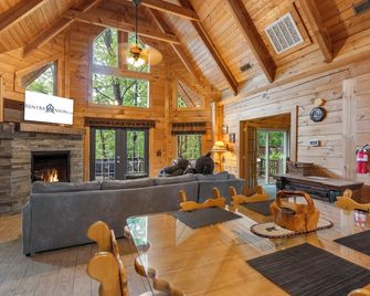 Renovated Three Bear Log Cabin, Vaulted Ceilings, Private Hot Tub! Near Big Cedar, Car Charger - Ridgedale - Living room