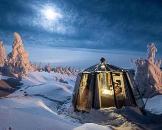 Mountain Glass Room Luxury Getaway for 2 Wild Nature Experience in Sweden - Jokkmokk