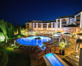 Lotus Therme Hotel & Spa - הביץ - בריכה