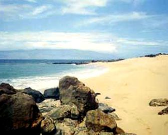 Secluded Cottage Rental for Four Guests on Lanai Island in Hawaii - Lanai City - Playa