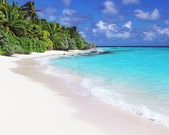 Ahola Thoddoo, Maldives - Thoddoo - Beach