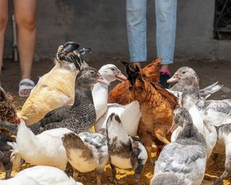 Come and enjoy, connect with yourself in the company of nature, come and live! - 테휘시틀라