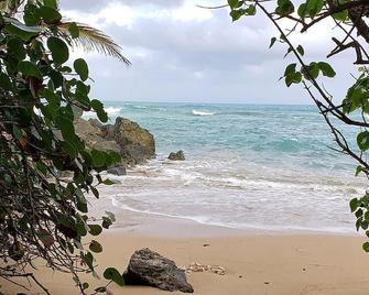 Best Views In Vieques! - Vieques - Beach