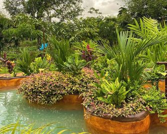 Hotel Heliconias Nature Inn & Hot Springs - Colonia Palmareña - Outdoors view
