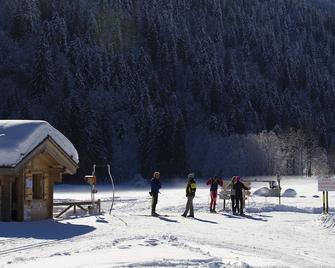 Les Fermes de Pierre et Anna - Le Grand-Bornand - Зручності