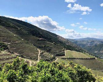 Quinta da Gricha - Ervedosa do Douro - Outdoor view