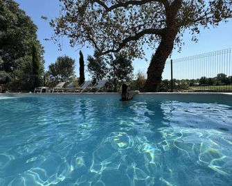 Le Mas d'Eymard - Arles - Pool