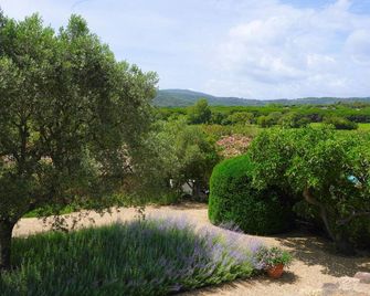Hôtel la Figuière - Ramatuelle - Venkovní prostory