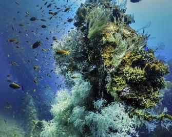 La Bila Dive Resort Amed - Amlapura - Παροχή καταλύματος