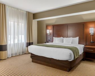 Comfort Suites Johnson City near University - Johnson City - Soveværelse