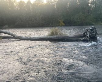 Riverfront Cabin on the Satsop River - Elma