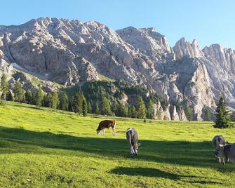 Apartment for 2 people in the heart of the Dolomites, directly in Welschnofen-Rosengarten - Nova Levante - Edificio