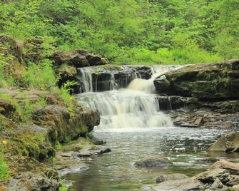 Rocky Brook Acres - Deer Lake