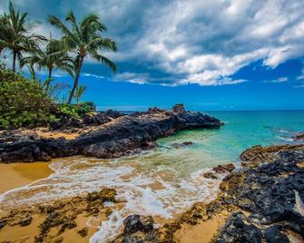 Stunning Oceanview Fully Remodeled Gem 2b/2b - Makawao