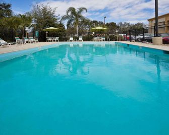 La Quinta Inn & Suites by Wyndham Tampa Fairgrounds - Casino - טמפה - בריכה