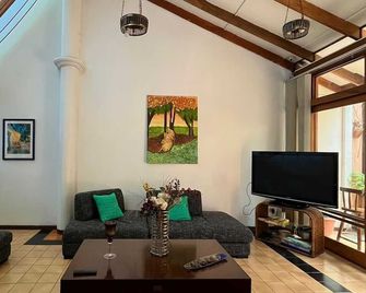 Gaudy's Hostel - San José - Sala de estar