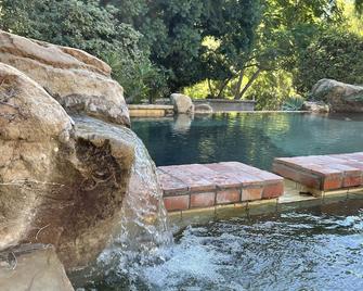 Turtle - Calabasas - Pool