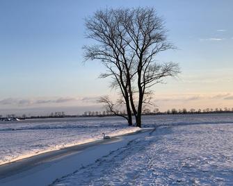 Boutique B&B Oud Aa - Breukelen - Beach