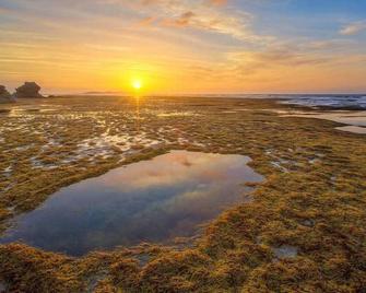 Ocean Beach Retreat - Queenscliff - Beach
