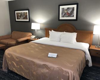 Quality Inn - Rochester - Habitación