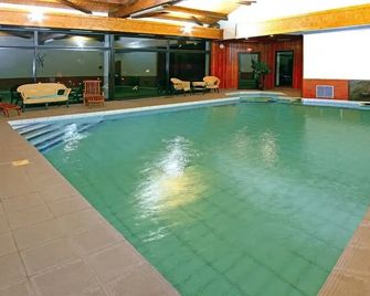Hotel La Gazelle - Besse-et-Saint-Anastaise - Pool