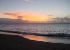 Villa on the Island of Nevis above the nicest beach, sleeps 4-6 - Newcastle - Playa