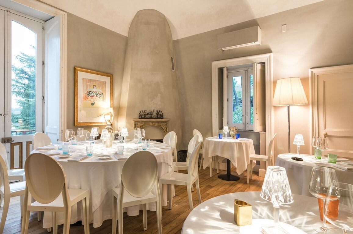 موناكي ديلي تيري نيري