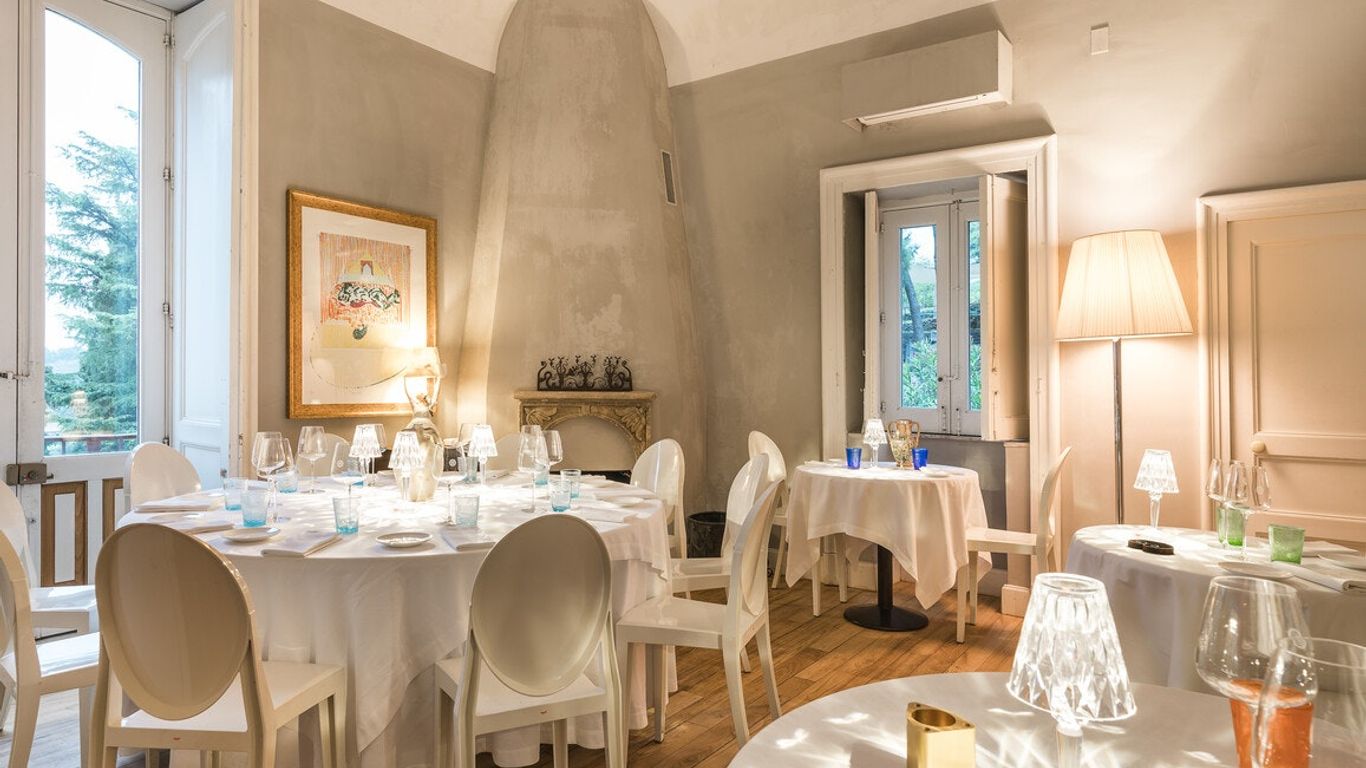 موناكي ديلي تيري نيري