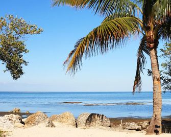 Conch Key Fishing Lodge & Marina - Marathon - Strand