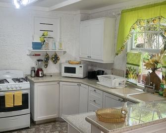 Newly Refurbished 2 Bedroom Apt 2 Mins From Atlantic Ocean, East Coast, Barbados - Bathsheba - Kitchen