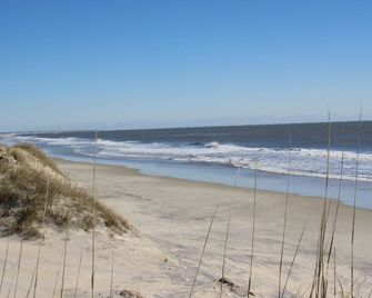 Sea Gull - Hatteras - Beach