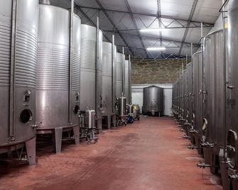 Casa Lata - Wine & Tourism - Amares