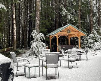 Hike Greenwater, Mt. Rainier, Sunrise Visitor Center & Crystal Mountain Sleeps 6 - Enumclaw - Patio