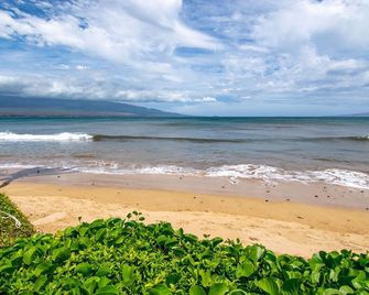 Lush View Condo Just Moments from the Beach - Wailuku - Playa