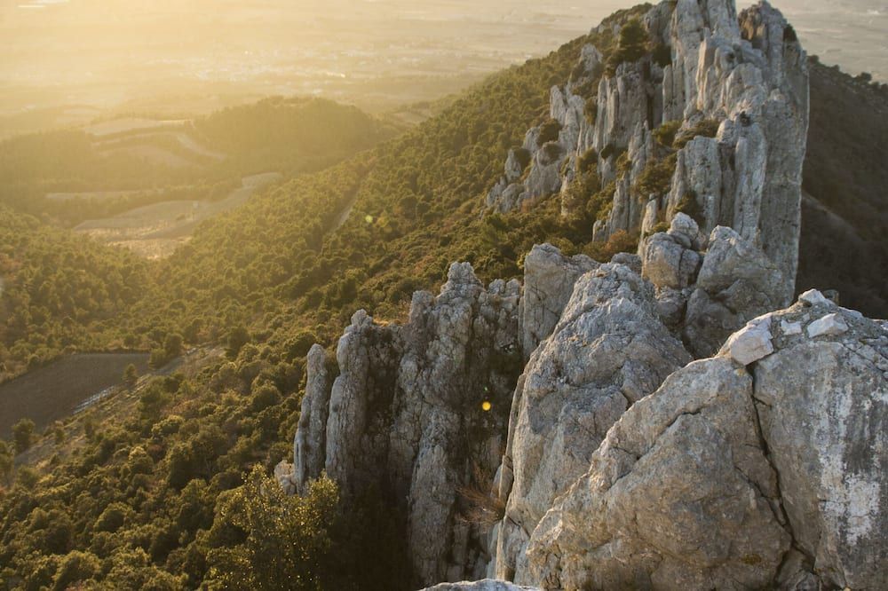 Le Mas Terre des Anges - Sarrians